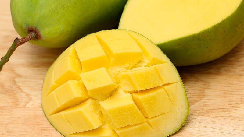 Hiện xoài cát Hòa Lộc đã đạt chứng nhận sản xuất an toàn theo tiêu chuẩn Global G.A.P và xuất khẩu đi nhiều nước như Pháp, Mỹ, Canada, Úc, Nhật, Singapore, Ðài Loan, Trung Quốc... Ảnh: Bachhoaxanh