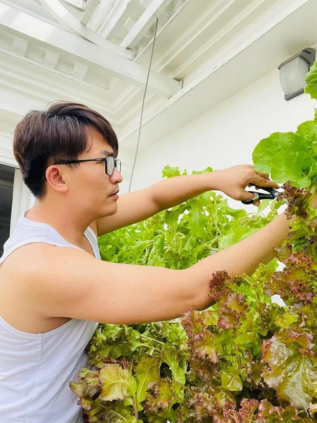 Các trụ rau được MC Đại Nghĩa thuê người thiết kế và thi công.