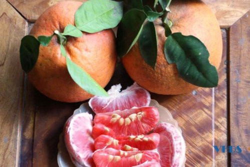 Vỏ bưởi đỏ tiến vua mỏng, múi bưởi đỏ hồng, mọng nước, hương thơm đặc trưng và trông rất đẹp. Ảnh: Thanhoa