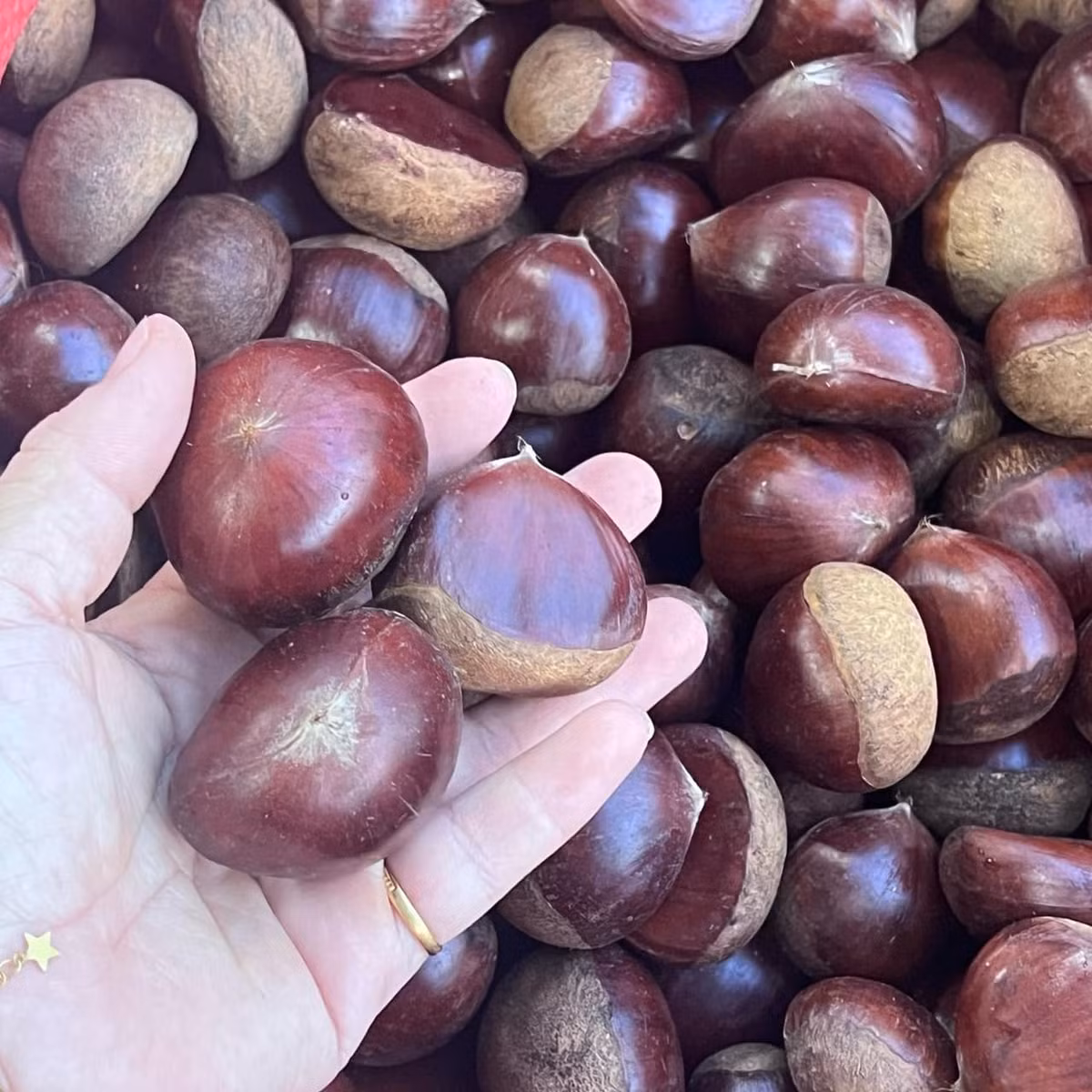 Đáng chú ý, mỗi cân hạt dẻ "siêu to khổng lồ" có giá từ 30.000 - 35.000 đồng. Do đó, nhiều bà nội trợ tranh thủ mua về làm đồ ăn vặt cho gia đình.