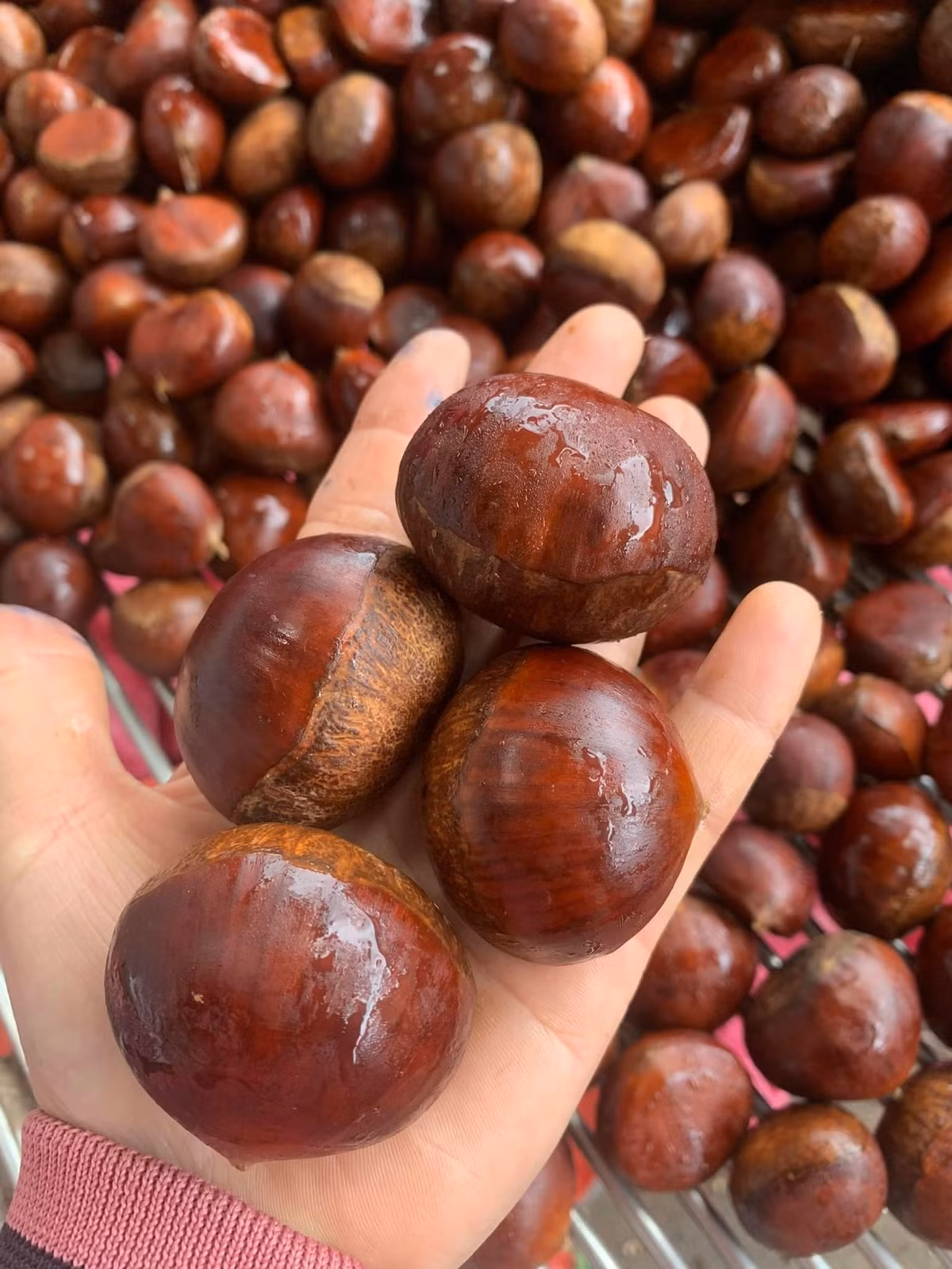 Phần đầu hạt không bị đen và nhân hạt có màu trắng ngà. Nguồn ảnh: Facebook