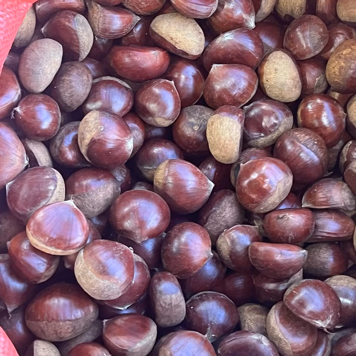 Theo người bán, hạt dẻ to bằng quả trứng gà này đều được nhập từ Trung Quốc.