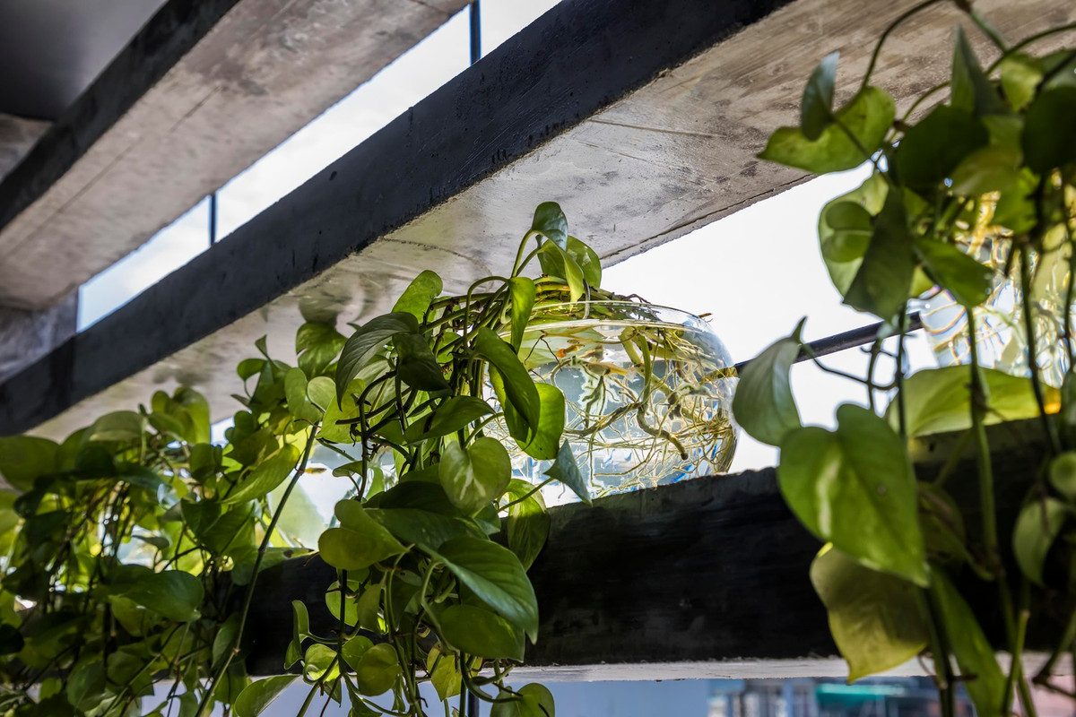 Phòng ngủ của con gái nằm ngay phía trên phòng ngủ bố mẹ, cách tầng trệt 2,2m.