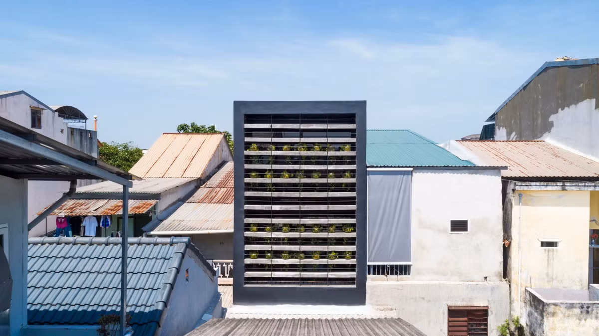 Bao My tam tac khen nha ong Viet Nam ngap sac xanh