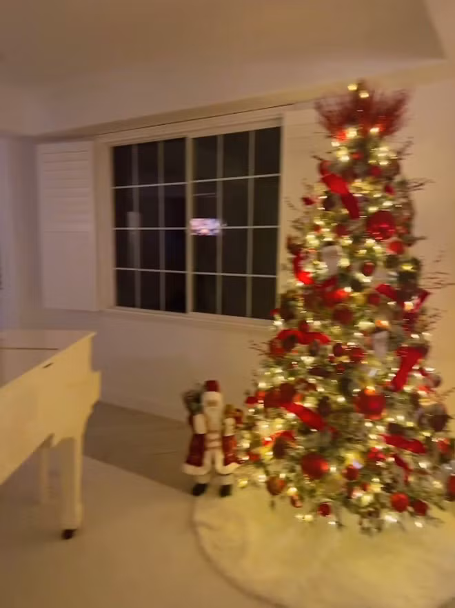 Khu vực cạnh cửa sổ cũng được tô điểm bằng cây thông đỏ rực rỡ.