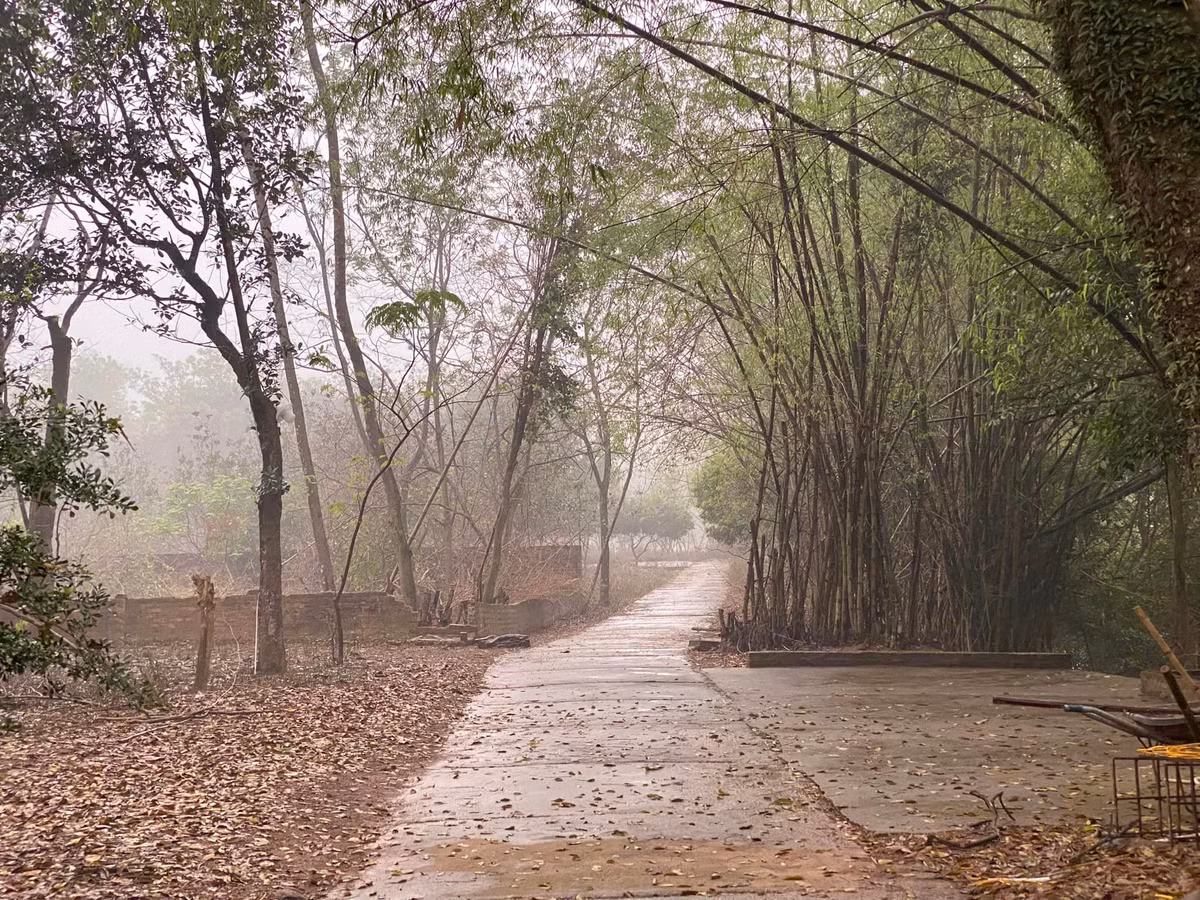 Cảm giác bình yên đến lạ. Ảnh: FBNV