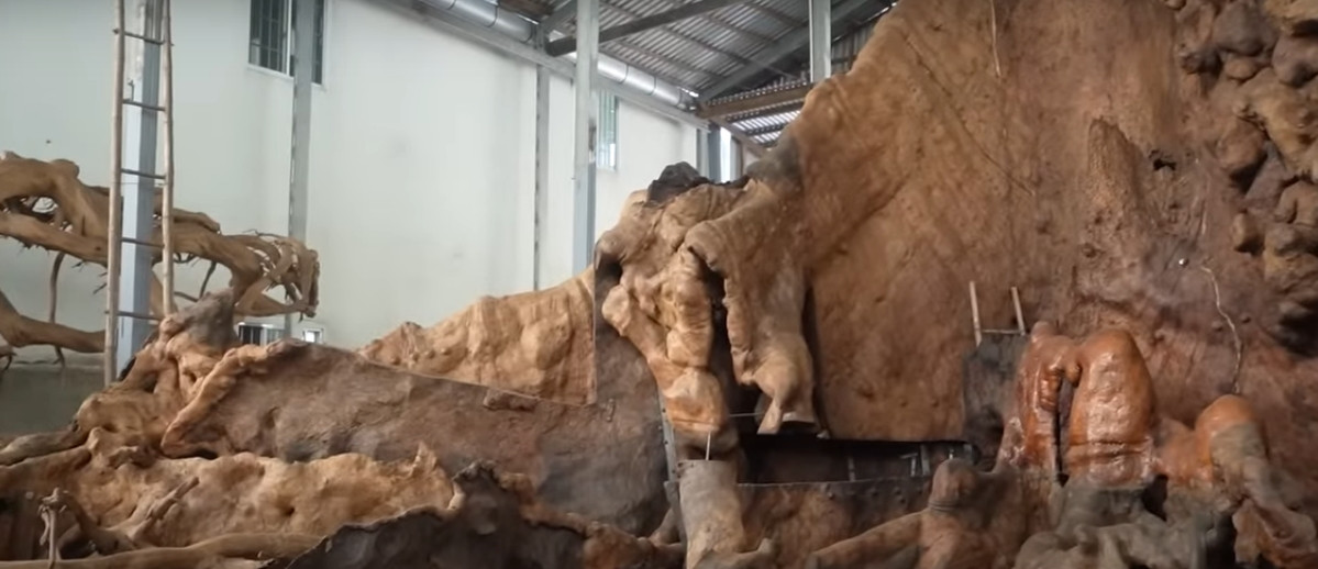 Sau khi bán gốc cây, ông sẽ trích một phần làm từ thiện, giúp đỡ người dân gặp khó khăn trong vùng. Nguồn ảnh: chụp màn hình Kênh Độc Lạ Bình Dương