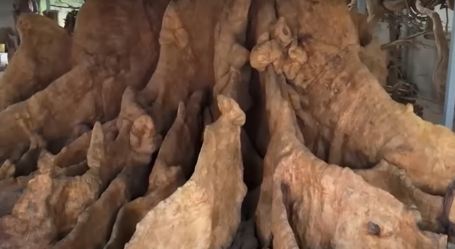 Giá cao nhất mà khách trả cho ông lên tới 30 tỷ rồi 32 tỷ đồng nhưng ông vẫn lắc đầu.