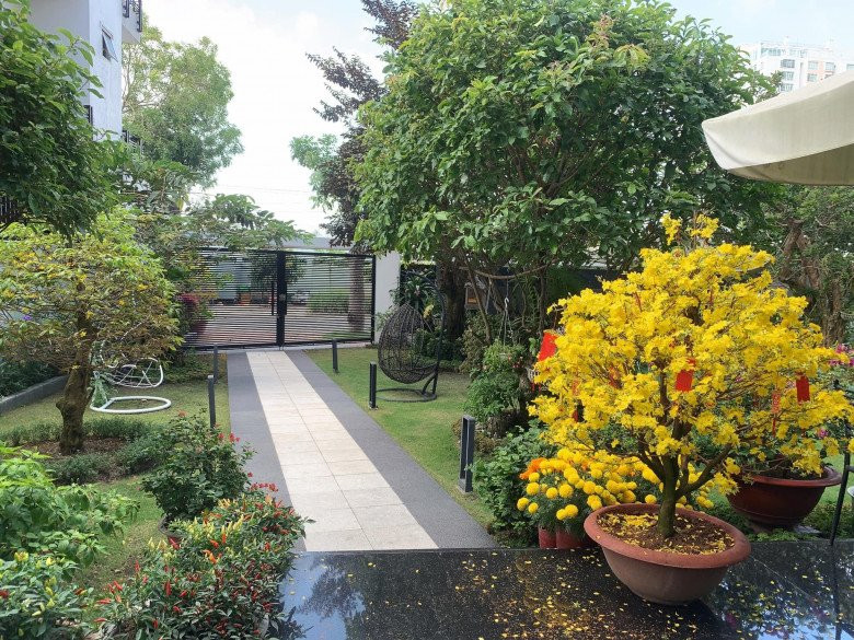 Vào những ngày xuân, không gian biệt thự của Quốc Trường tràn ngập sắc hoa.