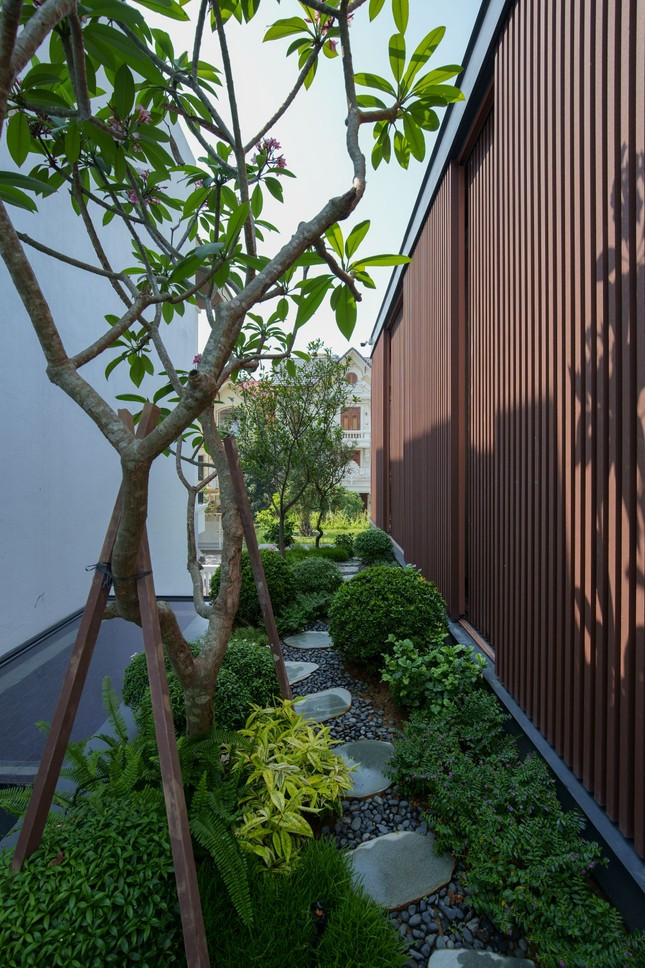 Cây xanh tỏa bóng mát cho ngôi nhà.