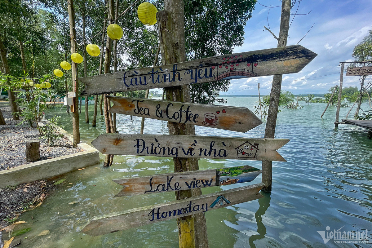 Thêm vào đó, du khách đến hồ Trị An mùa này sẽ không thấy được những vườn cây, bãi cỏ, thảm thực vật và sinh cảnh đặc trưng vì đã bị ngập nước.