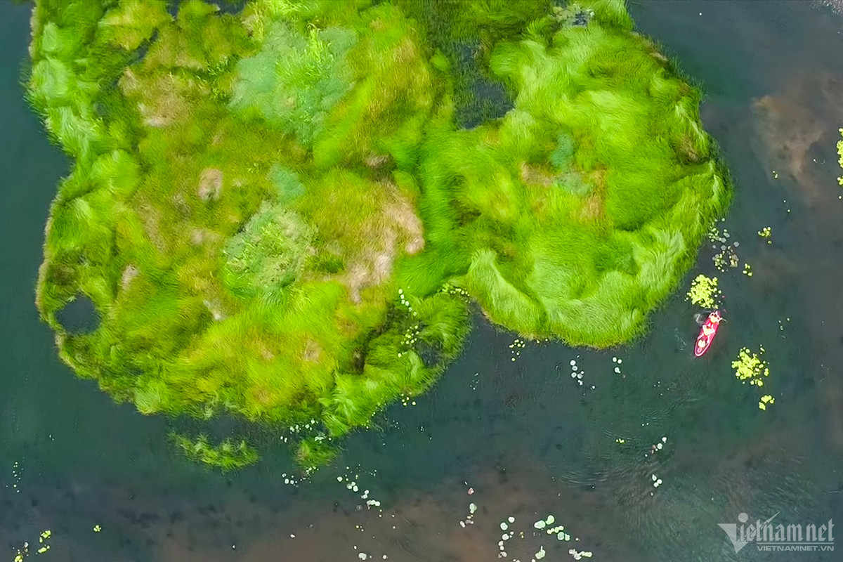 Có sở thích chèo sup, Kim Thoa cùng nhóm bạn từ TP.HCM đến hồ vui chơi ngày cuối tuần. Tại đây, bạn trẻ đã thuê sub với giá 100.000 đồng/2 người để trải nghiệm du ngoạn trên mặt hồ.