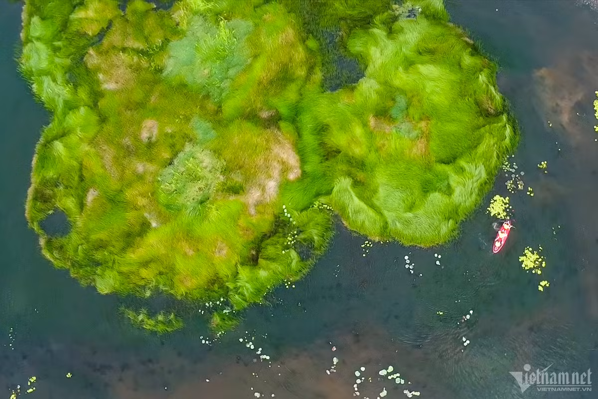 Có sở thích chèo sup, Kim Thoa cùng nhóm bạn từ TP.HCM đến hồ vui chơi ngày cuối tuần. Tại đây, bạn trẻ đã thuê sub với giá 100.000 đồng/2 người để trải nghiệm du ngoạn trên mặt hồ.