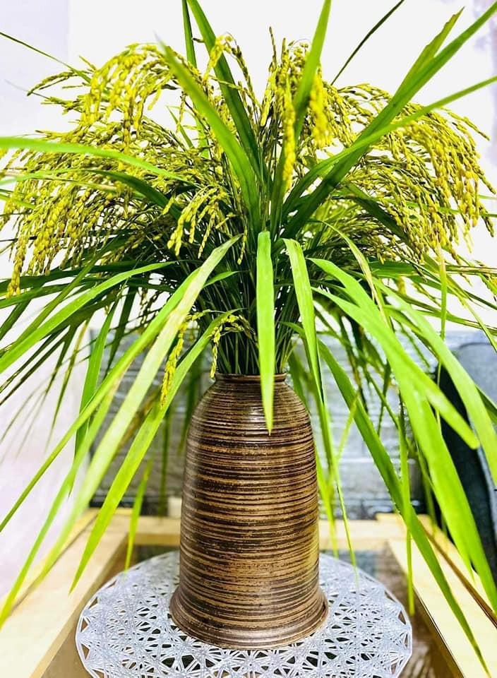 Không chỉ ngô, những bó lúa chín cũng được chị em lùng mua về cắm bình để trang trí cửa nhà. Ảnh: Facebook