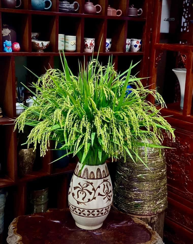 Những bình lúa chín mang lại cảm giác mùa màng bội thu, cuộc sống no đủ. Ảnh: FB Nguyễn Bích Thảo