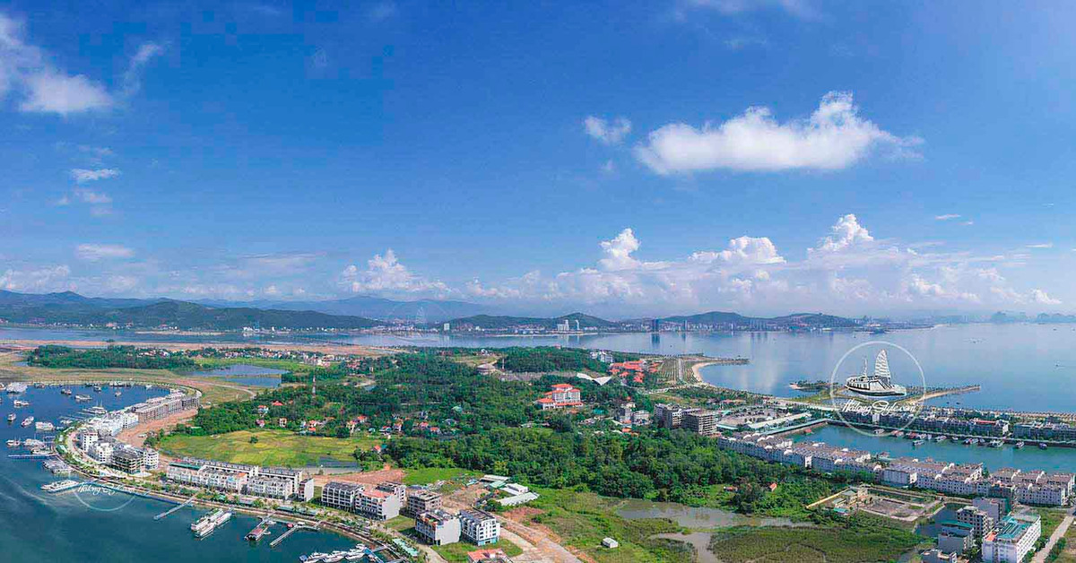 Ông xây dựng con đường dài hơn 2km nối đất liền với đảo Tuần Châu (khi ấy là một xã đảo nghèo không có điện, nước) với số tiền đầu tư lên đến 80 tỷ đồng, đổi lại sẽ được khai thác 98 ha đất trên đảo. Ảnh: Internet