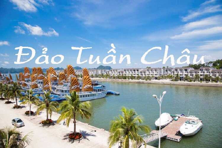 Hơn 20 năm, ông Tuyển từng bước gây dựng từ một công ty nhỏ thành Tập đoàn Tuần Châu với hơn 30 công ty thành viên hoạt động trên nhiều lĩnh vực gồm du lịch, bất động sản, sân golf, cảng tàu – bến du thuyền... trải dọc từ Bắc chí Nam. Ảnh: Internet