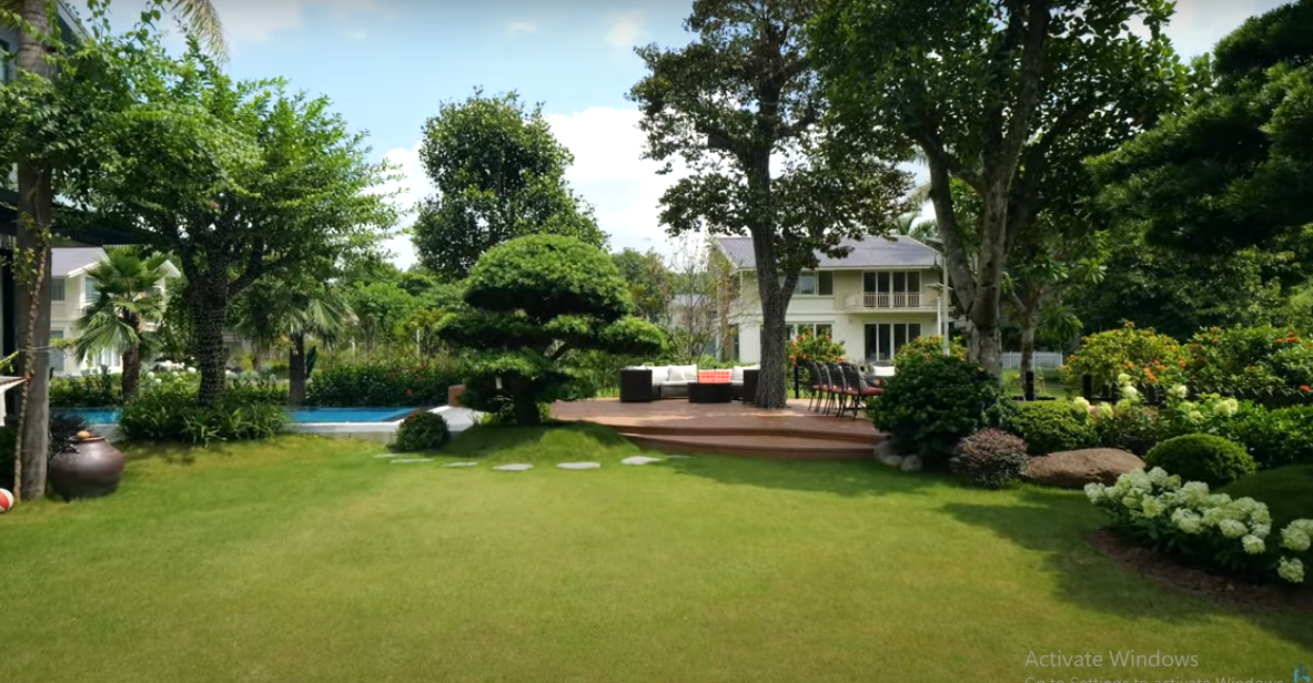 Cây xanh trồng khắp nơi trong vườn.