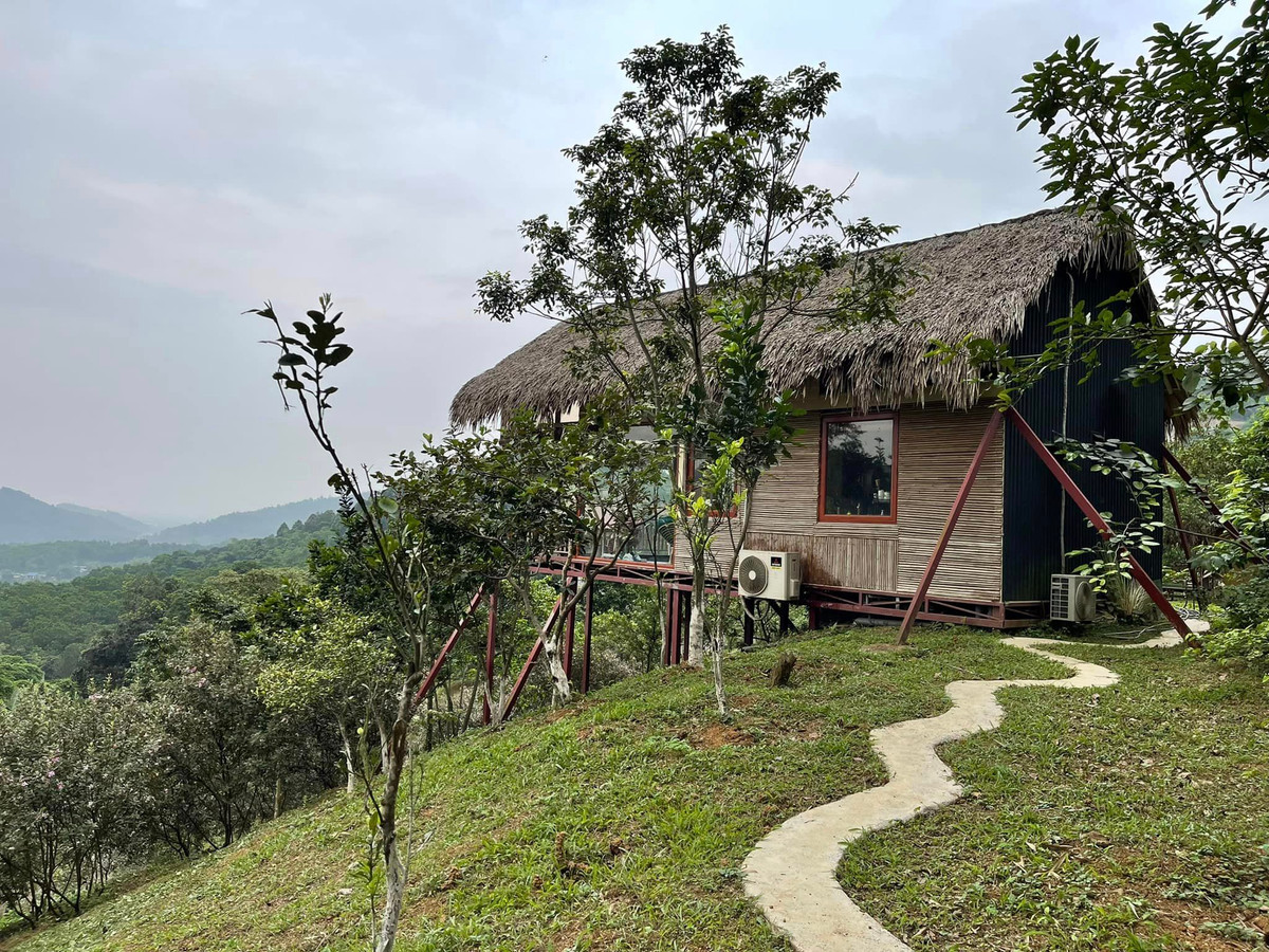 Trong khu nhà vườn, ca sĩ Việt Hoàn cho dựng khá nhiều ngôi nhà lá vừa để ở, vừa tô điểm cho không gian thêm sinh động.