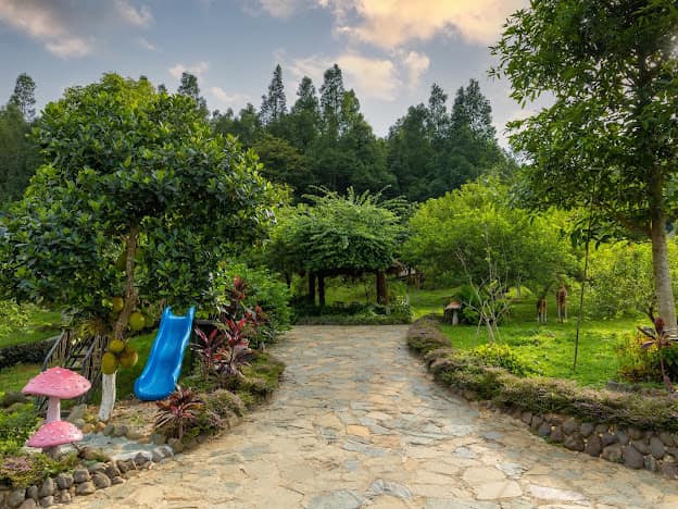 Bao trùm không gian khu nhà vườn là màu xanh mướt mát của cây lá.