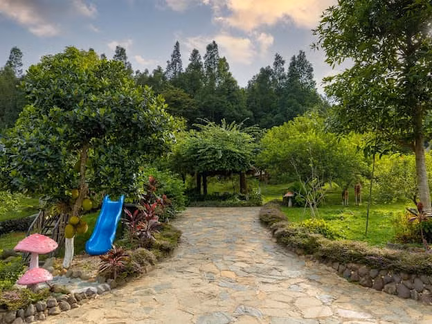 Bao trùm không gian khu nhà vườn là màu xanh mướt mát của cây lá.