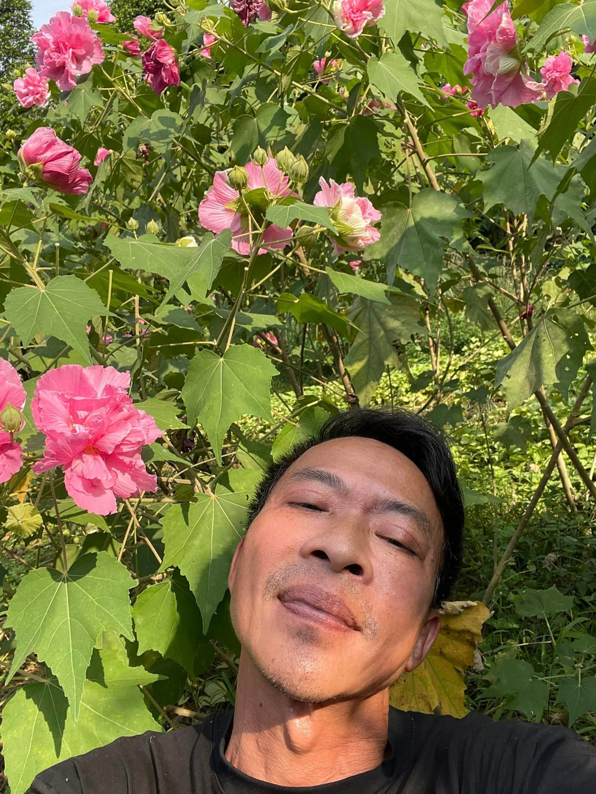 Sau khi hôn nhân tan vỡ, Hoa Trần vẫn ở lại nhà cũ cùng 3 con gái. Trong khi đó, nghệ sĩ Việt Hoàn sống tại nhà vườn rộng 10.000 m2 ngoại thành Hà Nội.