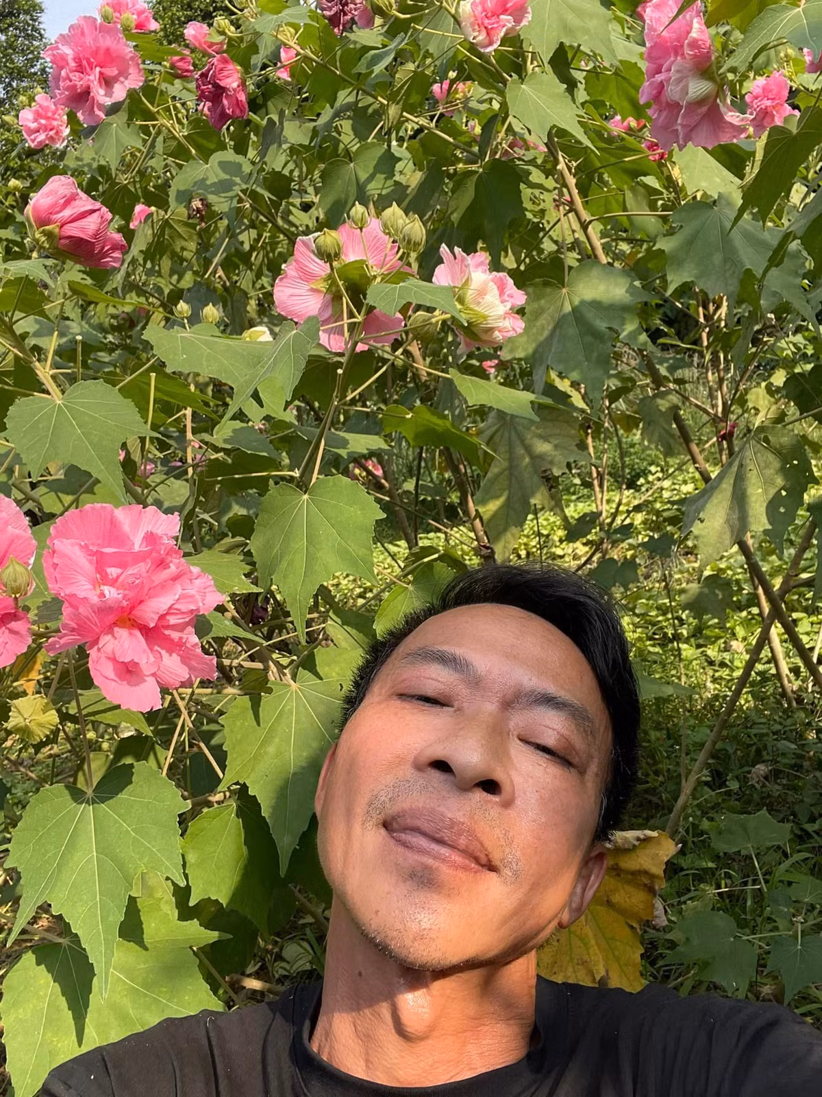 Sau khi hôn nhân tan vỡ, Hoa Trần vẫn ở lại nhà cũ cùng 3 con gái. Trong khi đó, nghệ sĩ Việt Hoàn sống tại nhà vườn rộng 10.000 m2 ngoại thành Hà Nội.