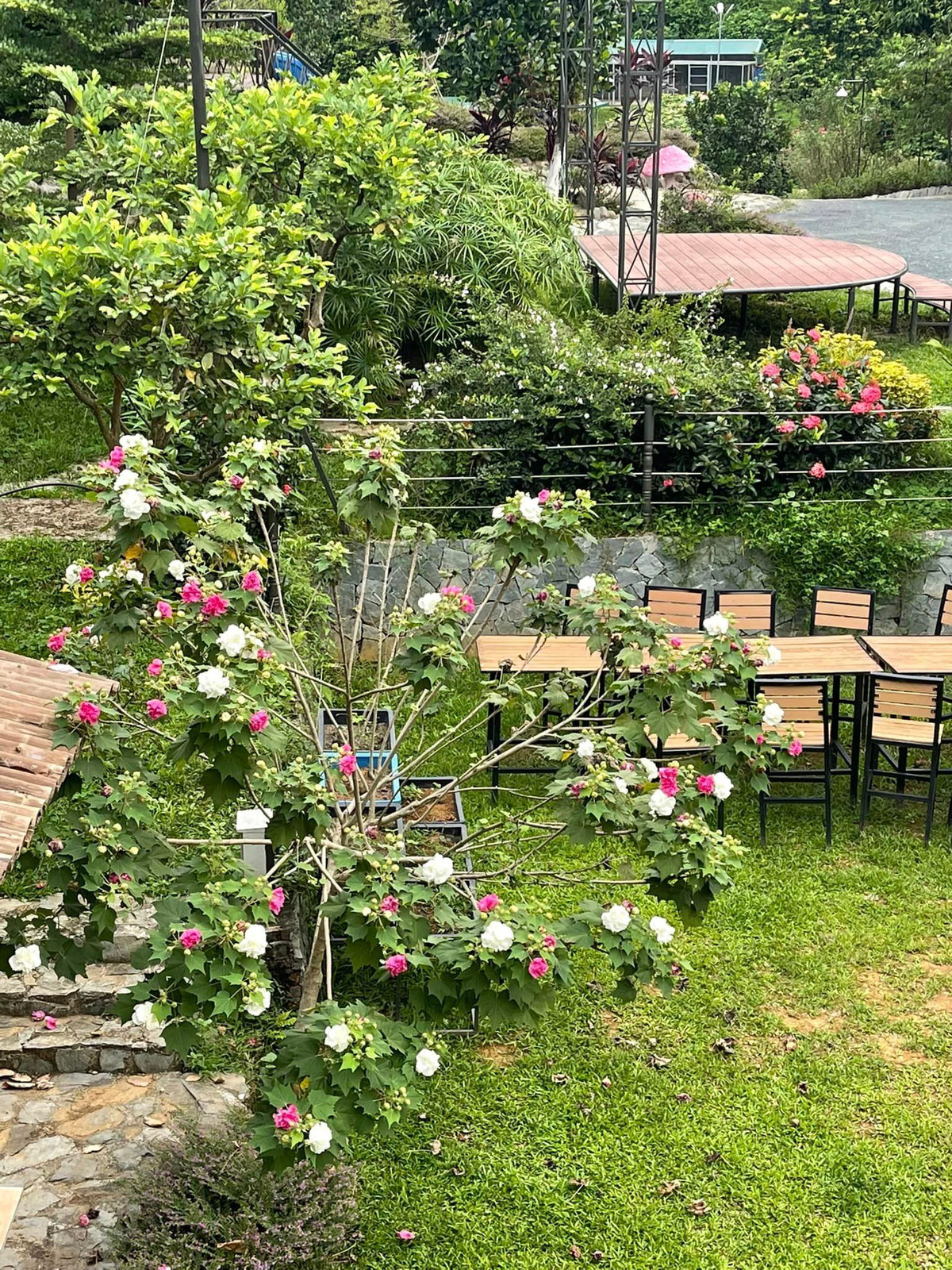 Tất cả công trình đều do chính nam ca sĩ tự lên ý tưởng.