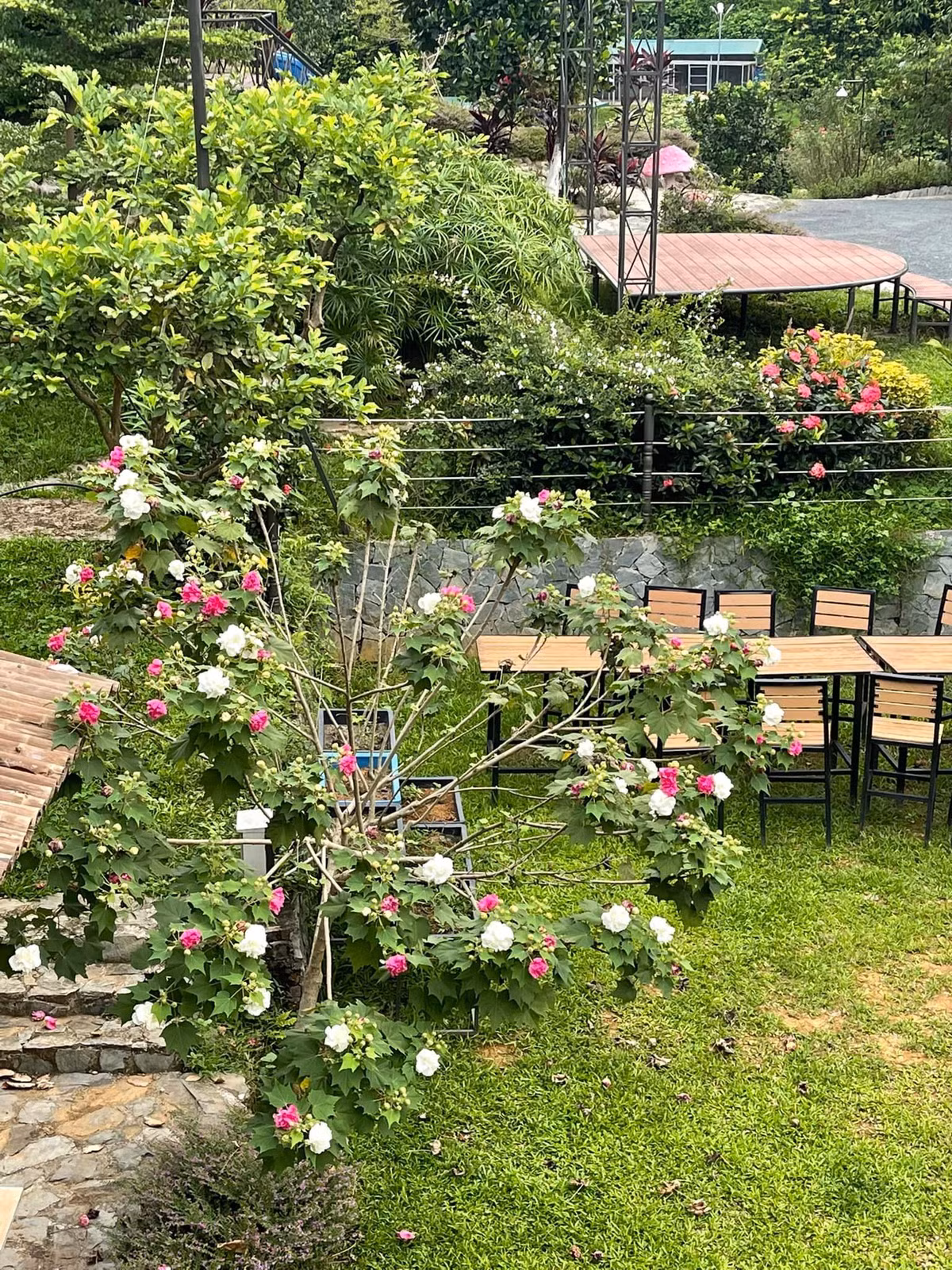 Tất cả công trình đều do chính nam ca sĩ tự lên ý tưởng.