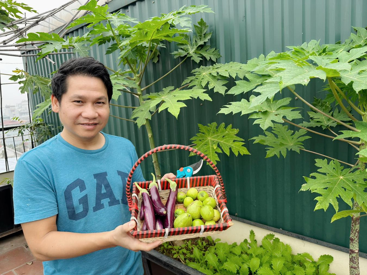 Thời gian rảnh rỗi, ca sĩ Trọng Tấn hóa thân thành nông dân, tìm niềm vui bằng cách trồng rau, chăm sóc cây cảnh. Mới đây, nam ca sĩ chia sẻ hình ảnh thu hoạch rau củ quả trên sân thượng vào ngày cuối tuần.