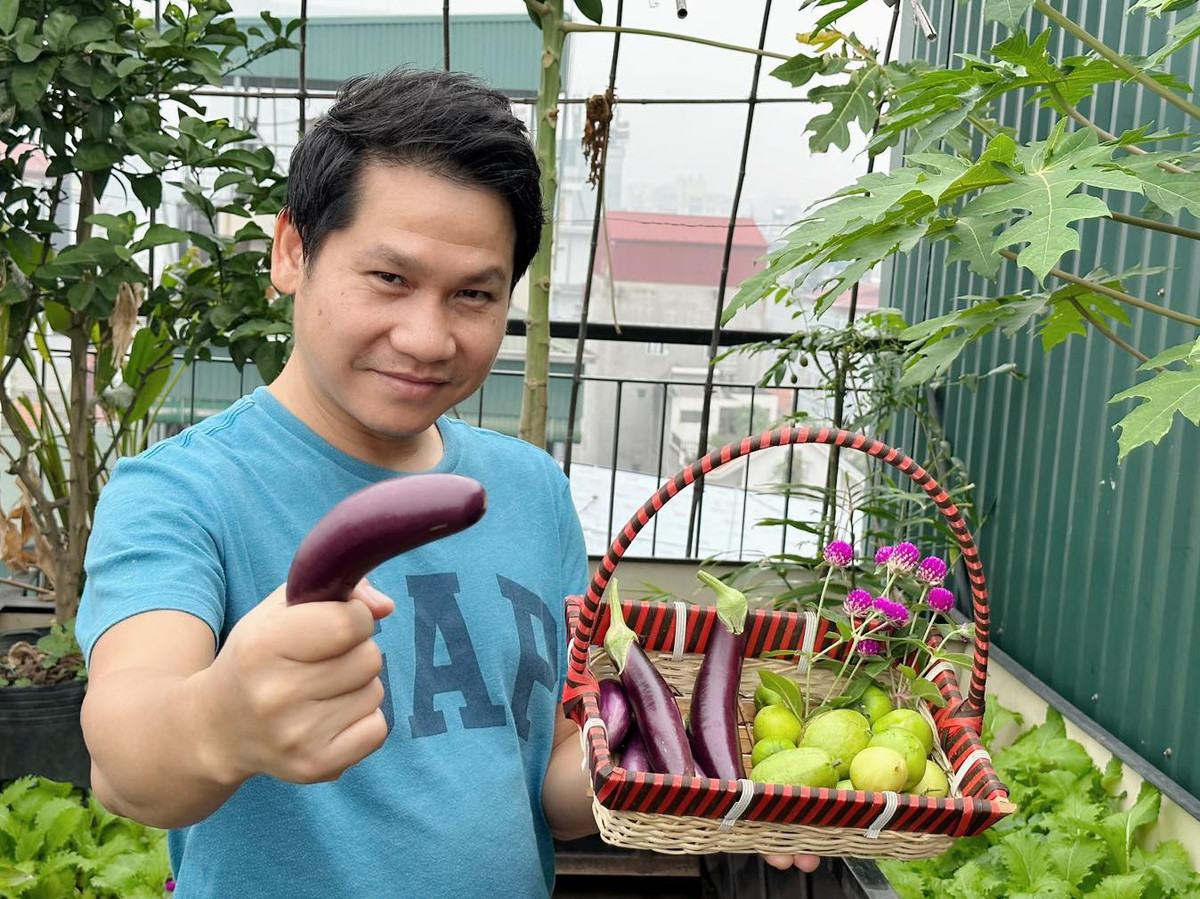 Nhờ chịu khó chăm sóc, khu vườn nhà Trọng Tấn cây trái 4 mùa tốt um.