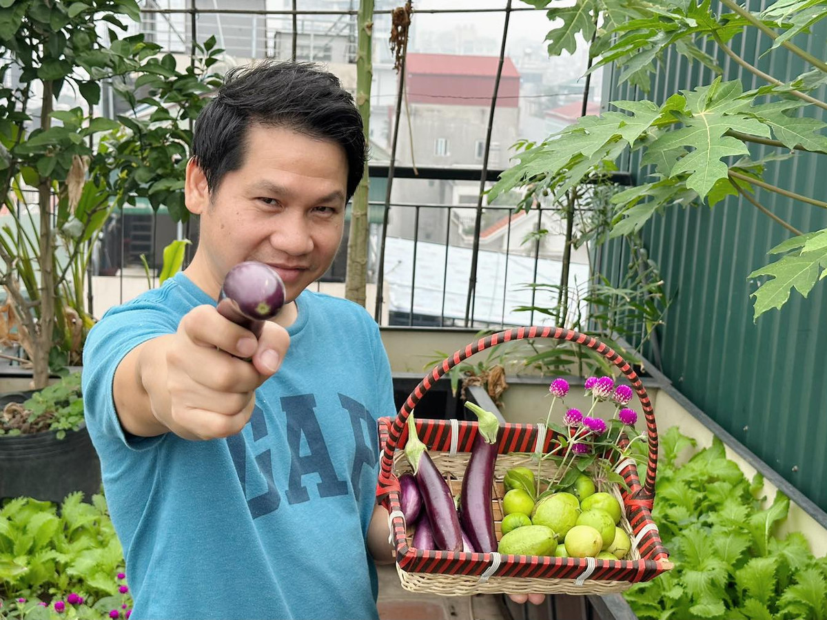 Đằng sau giỏ rau gồm cà tím, táo và ổi là luống rau cải xanh mướt.