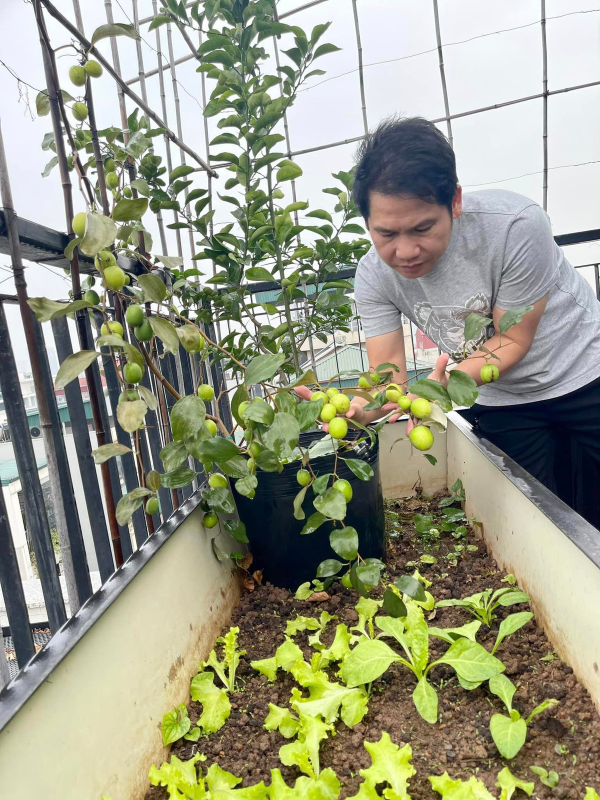 Thậm chí, nam ca sĩ còn tự tay bắt sâu để có rau sạch ăn.