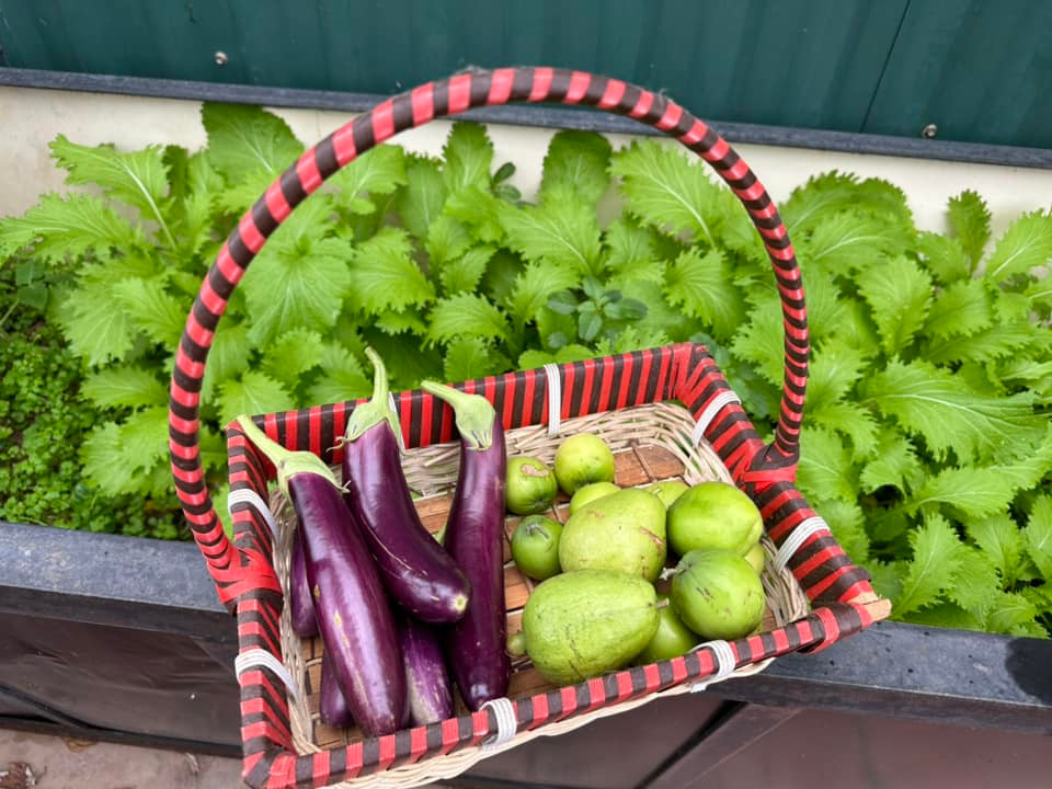 Dù diện tích sân thượng khiêm tốn chỉ 20m2 nhưng "Vua nhạc đỏ" trồng đủ loại cây ăn quả và rau xanh.