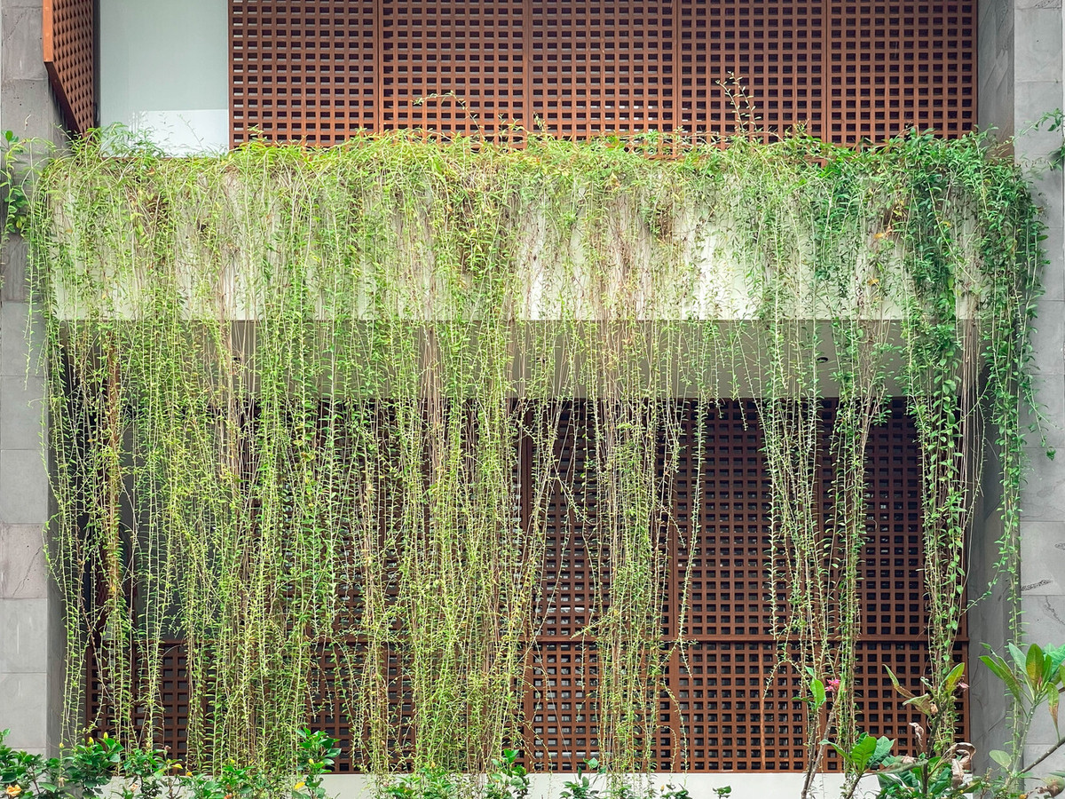 Theo đó, cây cối được bao phủ bởi những chiếc lá rũ xuống để tạo cảm giác lọc nhiệt trực tiếp từ mặt trời.