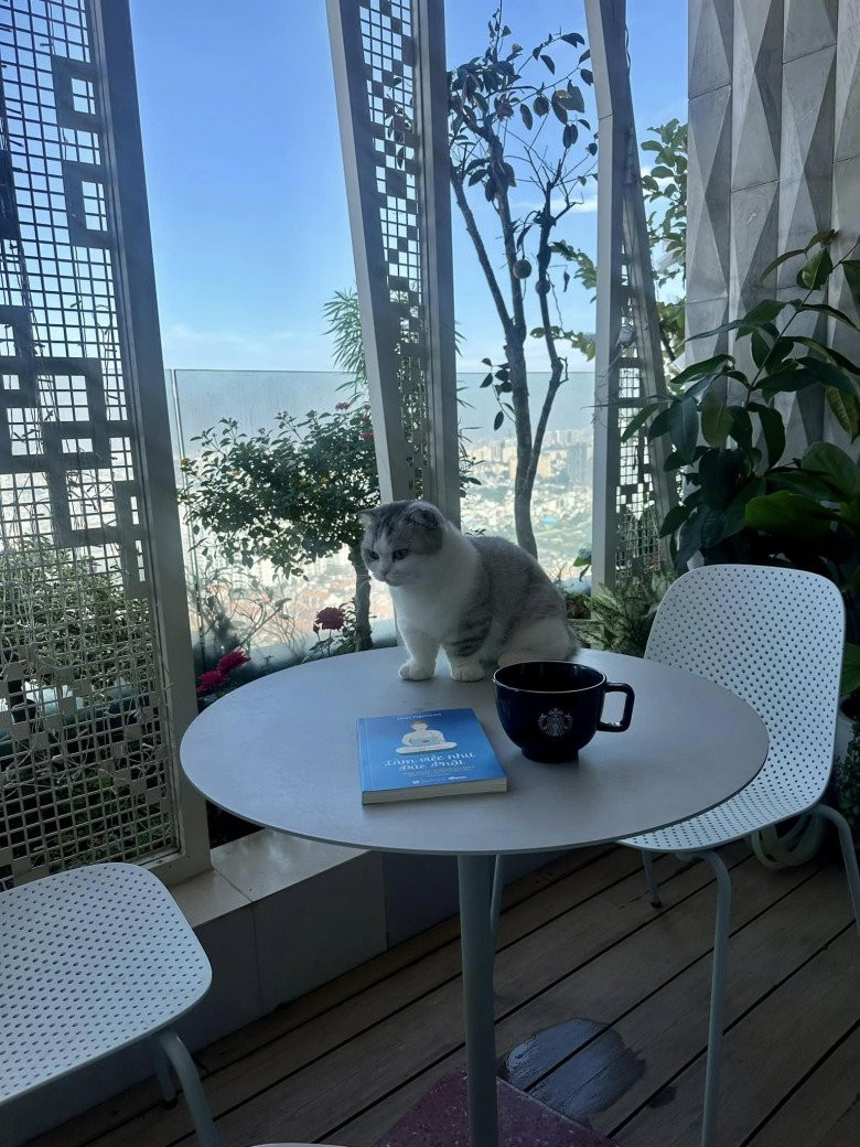 Góc ban công trong biệt thự của Hoa hậu Thu Hoài đặt một bộ bàn ghế trắng vừa sang trọng vừa thanh lịch.