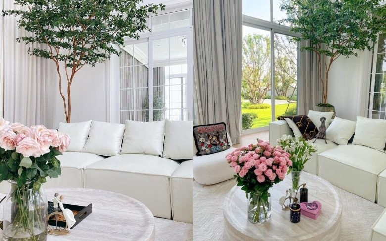 Căn biệt thự giống như một tòa lâu đài, vừa cao rộng lại thoáng mát nhờ hệ cửa kính bao quanh. Ảnh: FBNV