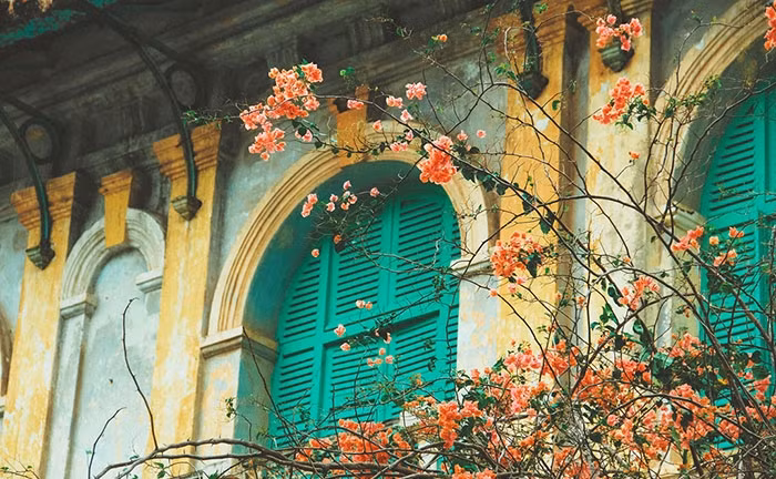 Khung cảnh hoài cổ, nên thơ của Dinh tỉnh trưởng Gò Công. Ảnh: Dulichmientay