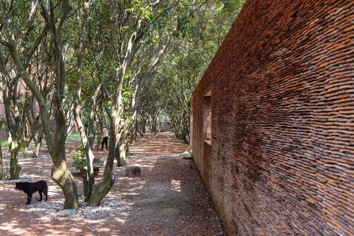 Lối đi được trải đá, lát bê tông sạch sẽ.