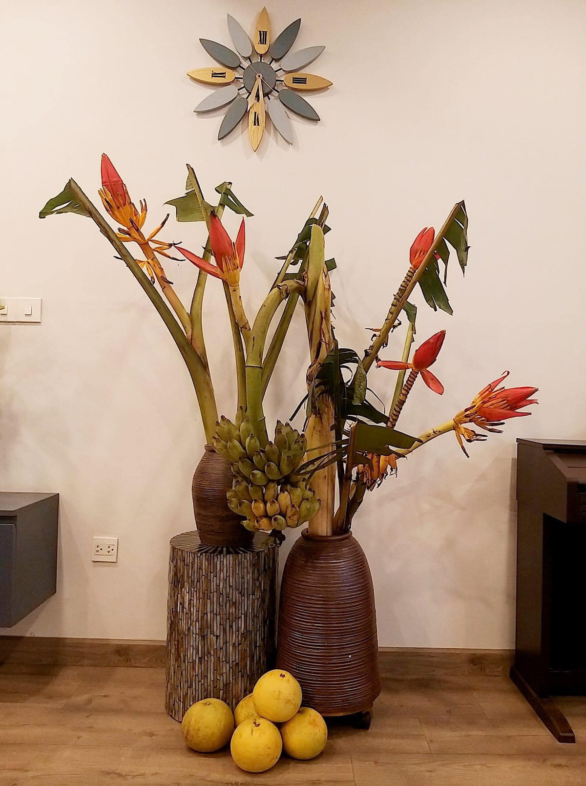 Chị Huyền (ở Thanh Xuân, Hà Nội) chia sẻ, lần đầu tiên thấy trên thị trường bán chuối buồng cắm bình nên đặt mua về chơi thử. Ảnh: FB Nguyễn Bích Thảo