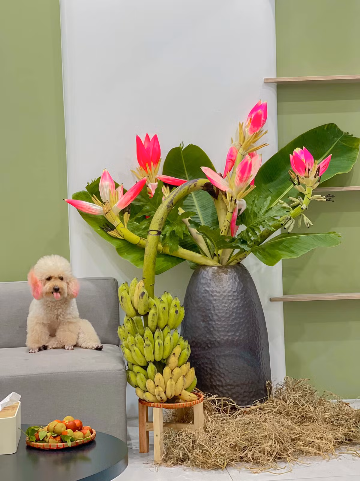 Tuy nhiên, chị Huyền phải đặt trước vài ngày mới có hàng. Đây là hoa chuối rừng, được người dân bản địa chặt về, thi thoảng mới có. Ảnh: FB Nguyễn Thế Hoàng