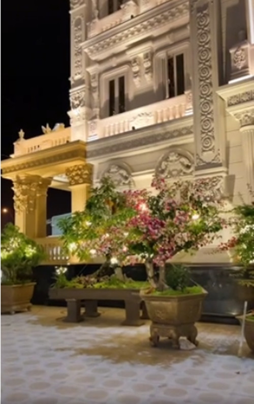 Cây cảnh trong sân cũng được giăng đèn lấp lánh. Nguồn ảnh: chụp màn hình Tiktok