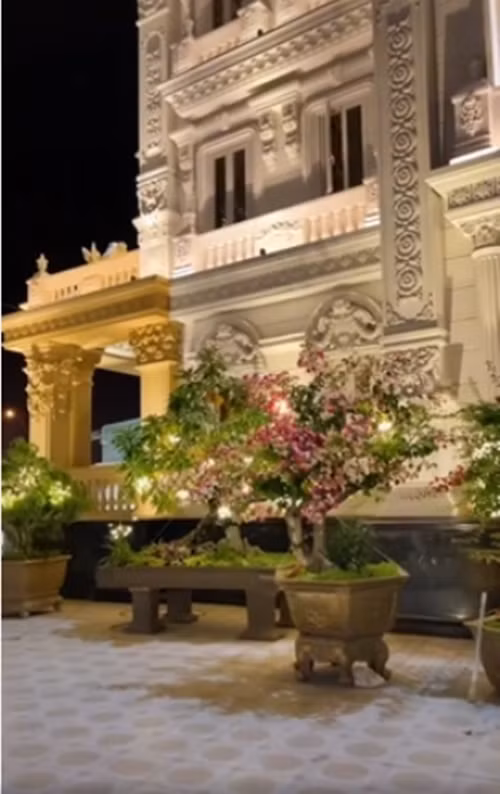 Cây cảnh trong sân cũng được giăng đèn lấp lánh. Nguồn ảnh: chụp màn hình Tiktok