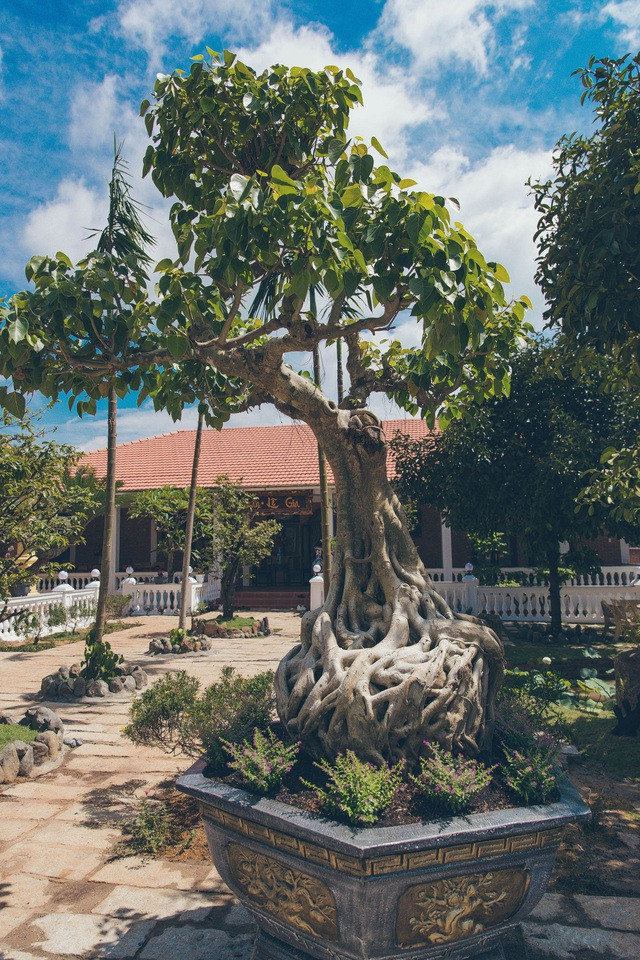 Để hoàn thành công trình kịp ngày đã định, Lý Nhã Kỳ không ngại làm ngày đêm cùng các công nhân. Người đẹp tham gia đẩy xe, trực tiếp phụ khiêng và hỗ trợ vận chuyển đồ... Ảnh: Tổ quốc