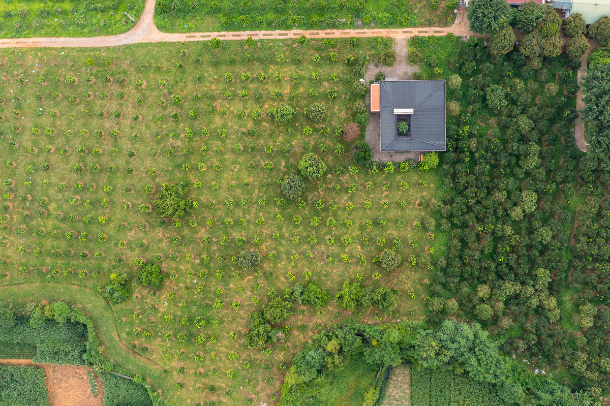 Phần mái là một khối vuông lớn lợp tôn - một phương pháp kiến trúc truyền thống nhằm giảm bức xạ nhiệt vào ngôi nhà, từ đó cắt giảm chi phí làm mát.