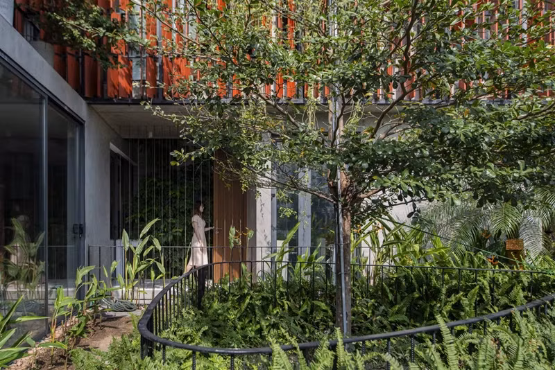 Khu vườn treo khiến ngôi nhà trở thành ốc đảo xanh giữa lòng TP Quy Nhơn.