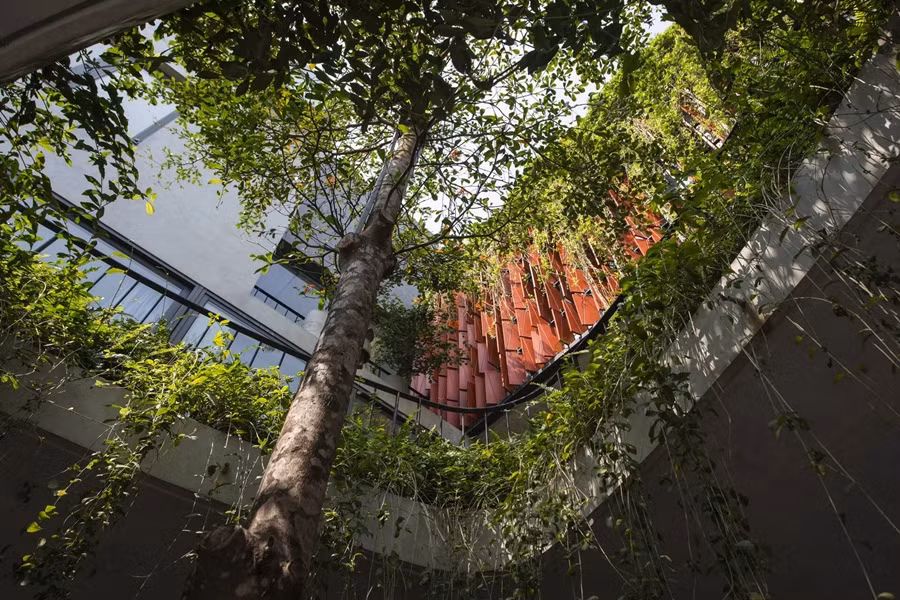 Vườn treo cung cấp không gian xanh cho các độ cao khác nhau.