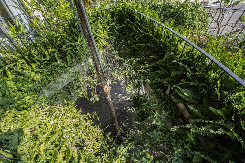 Công trình tựa như một ốc đảo xanh giúp cân bằng yếu tố vi khí hậu tại chỗ và giảm sự khó chịu từ các tuyến giao thông nhìn thẳng vào công trình. Nguồn ảnh: Nghĩa-Architect