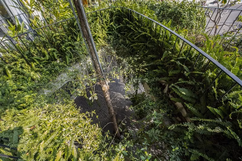 Công trình tựa như một ốc đảo xanh giúp cân bằng yếu tố vi khí hậu tại chỗ và giảm sự khó chịu từ các tuyến giao thông nhìn thẳng vào công trình. Nguồn ảnh: Nghĩa-Architect