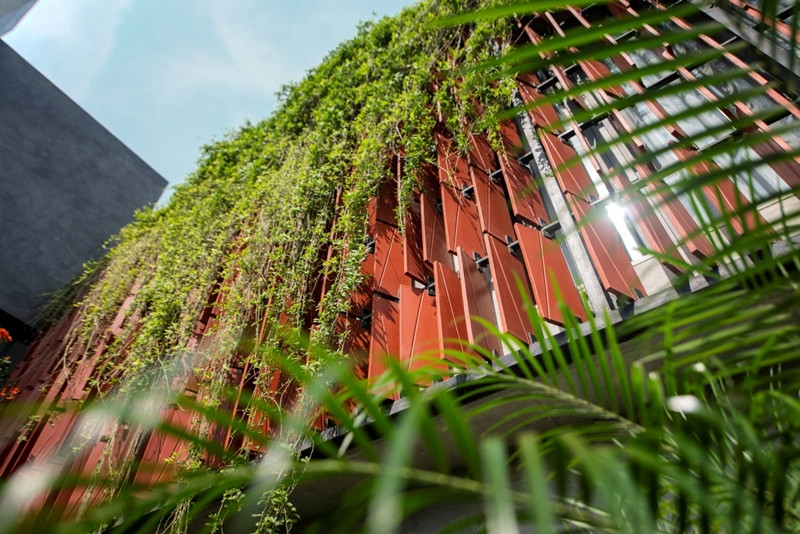 Một không gian xanh bao phủ toàn bộ ngôi nhà được hình thành.